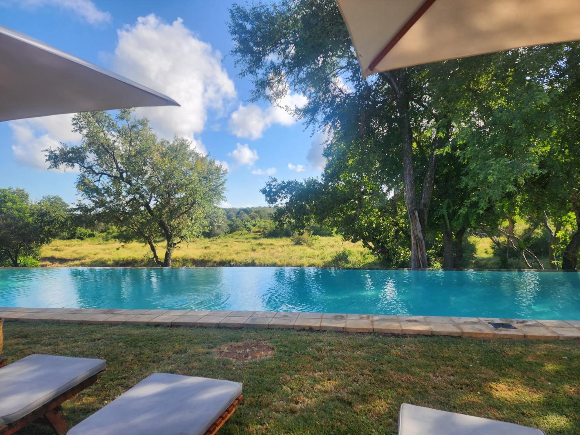 Karongwe Portfolio - Becks Safari Lodge Karongwe Game Reserve Bagian luar foto
