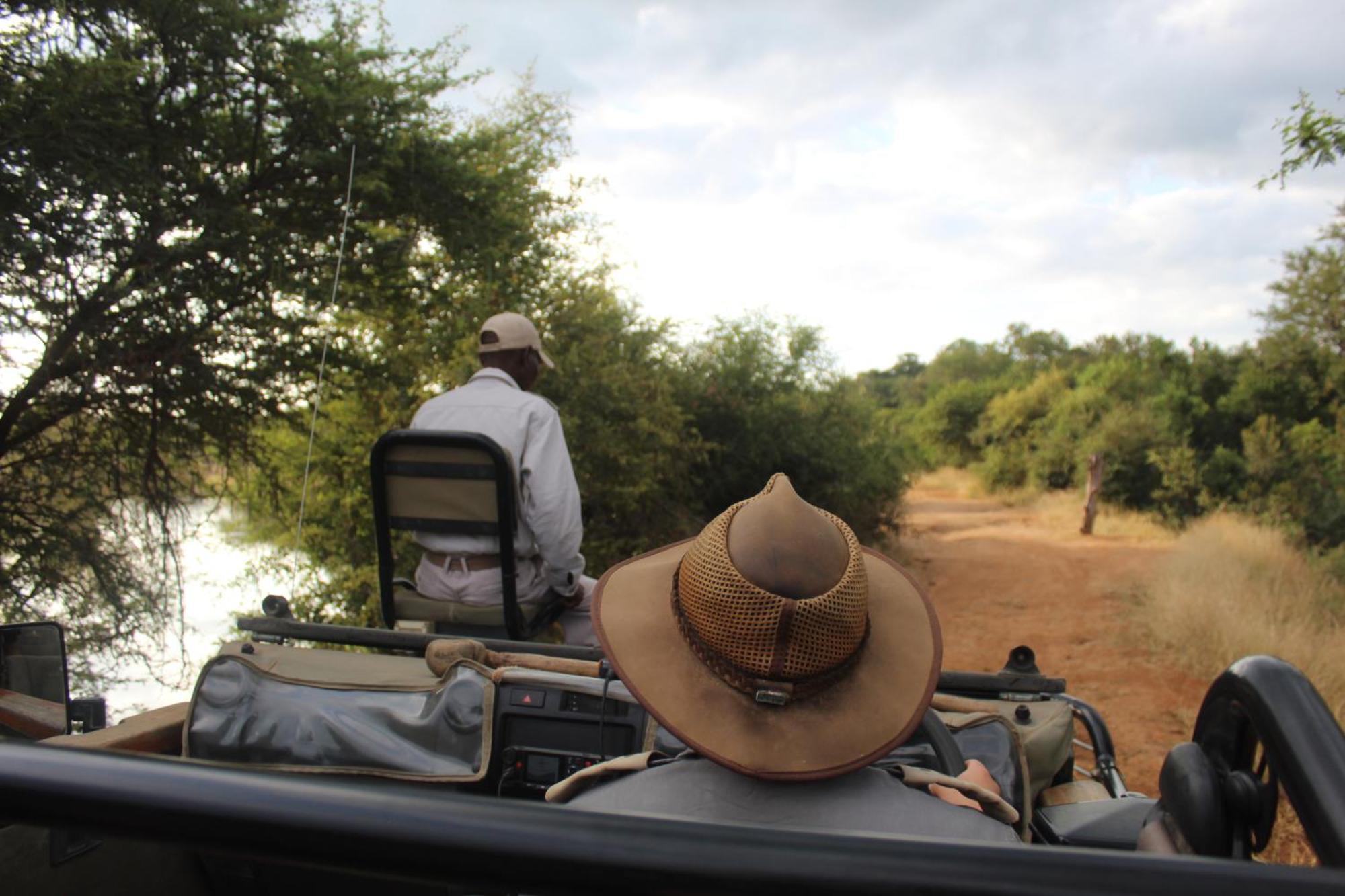 Karongwe Portfolio - Becks Safari Lodge Karongwe Game Reserve Bagian luar foto