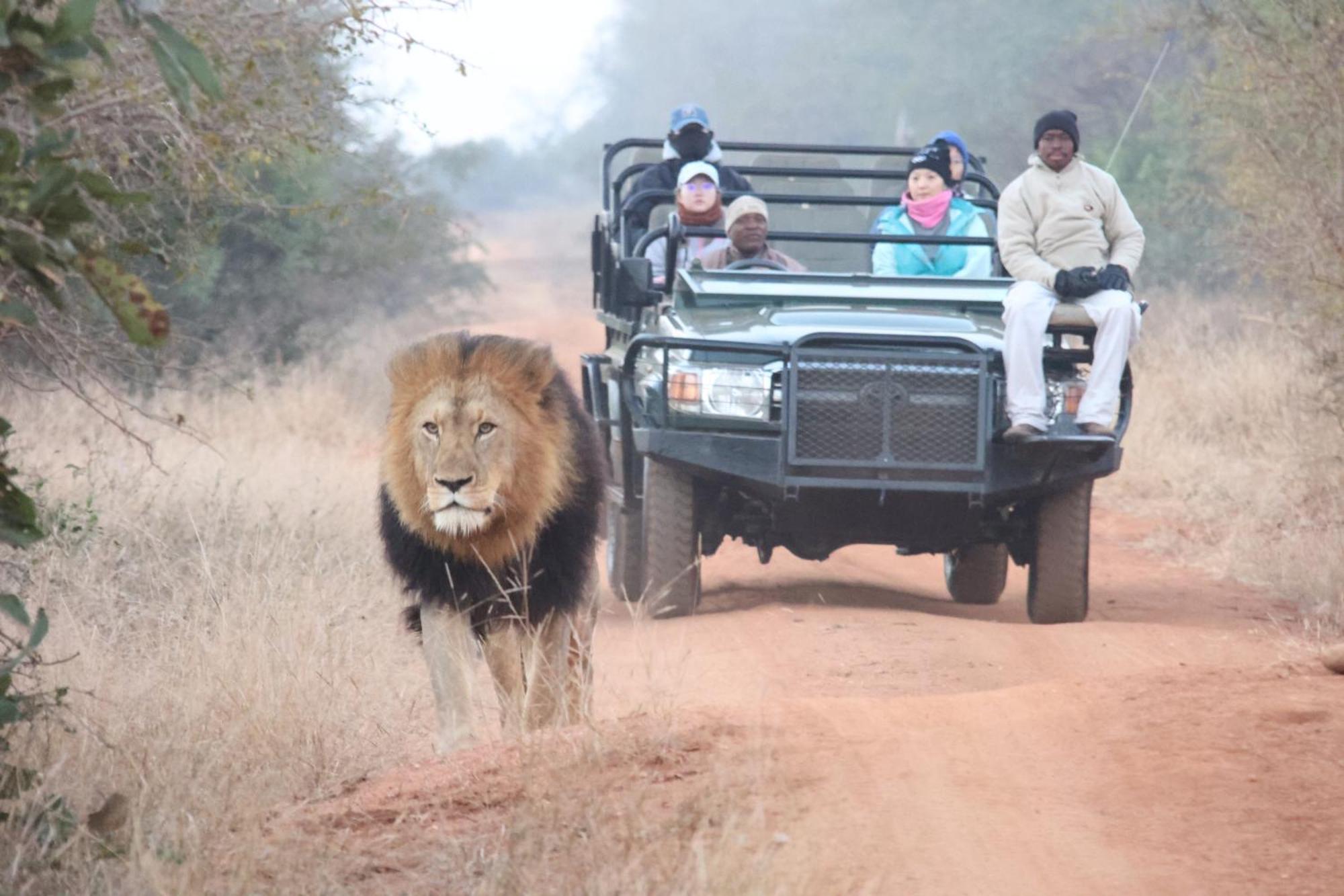 Karongwe Portfolio - Becks Safari Lodge Karongwe Game Reserve Bagian luar foto