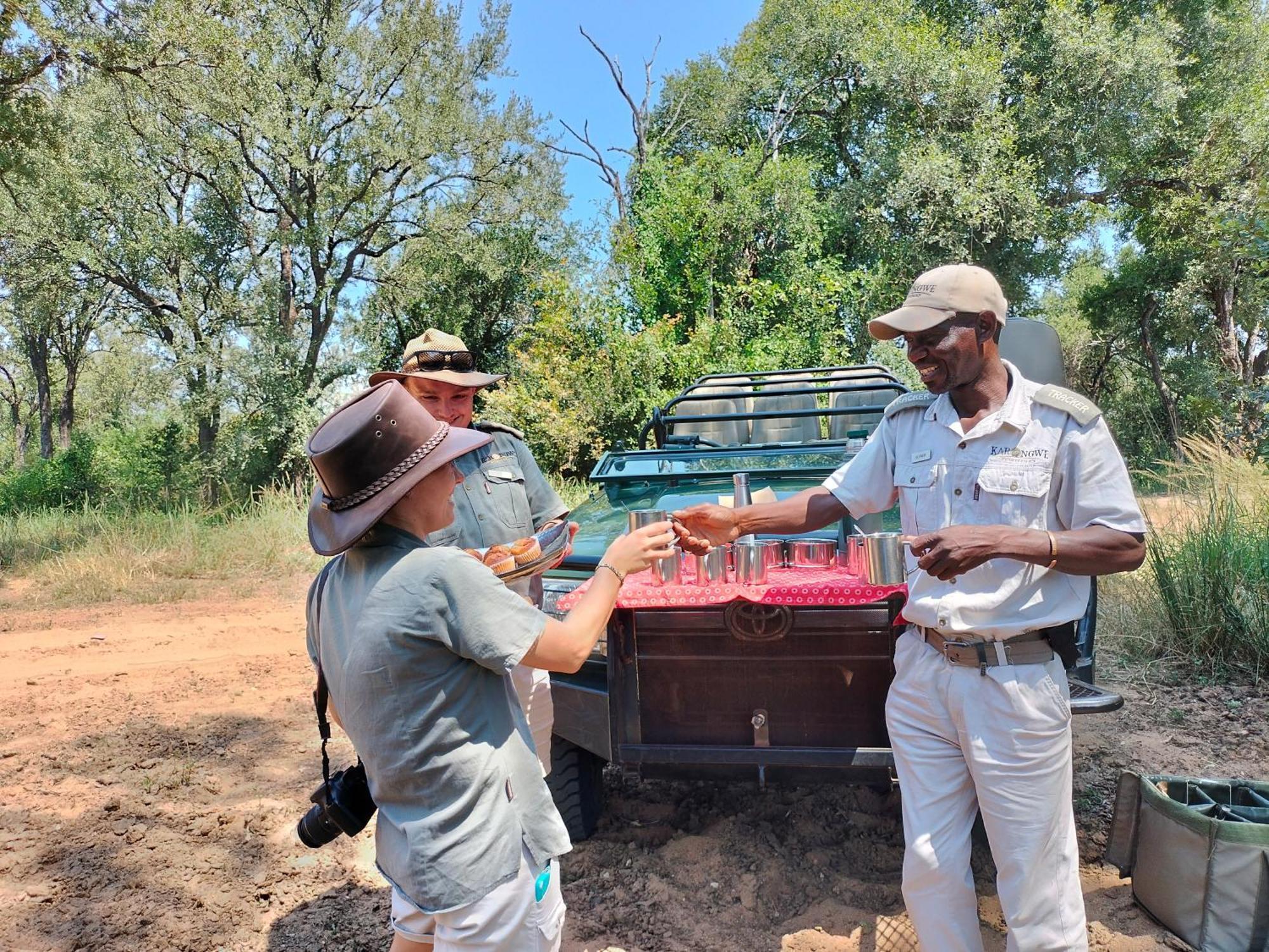 Karongwe Portfolio - Becks Safari Lodge Karongwe Game Reserve Bagian luar foto