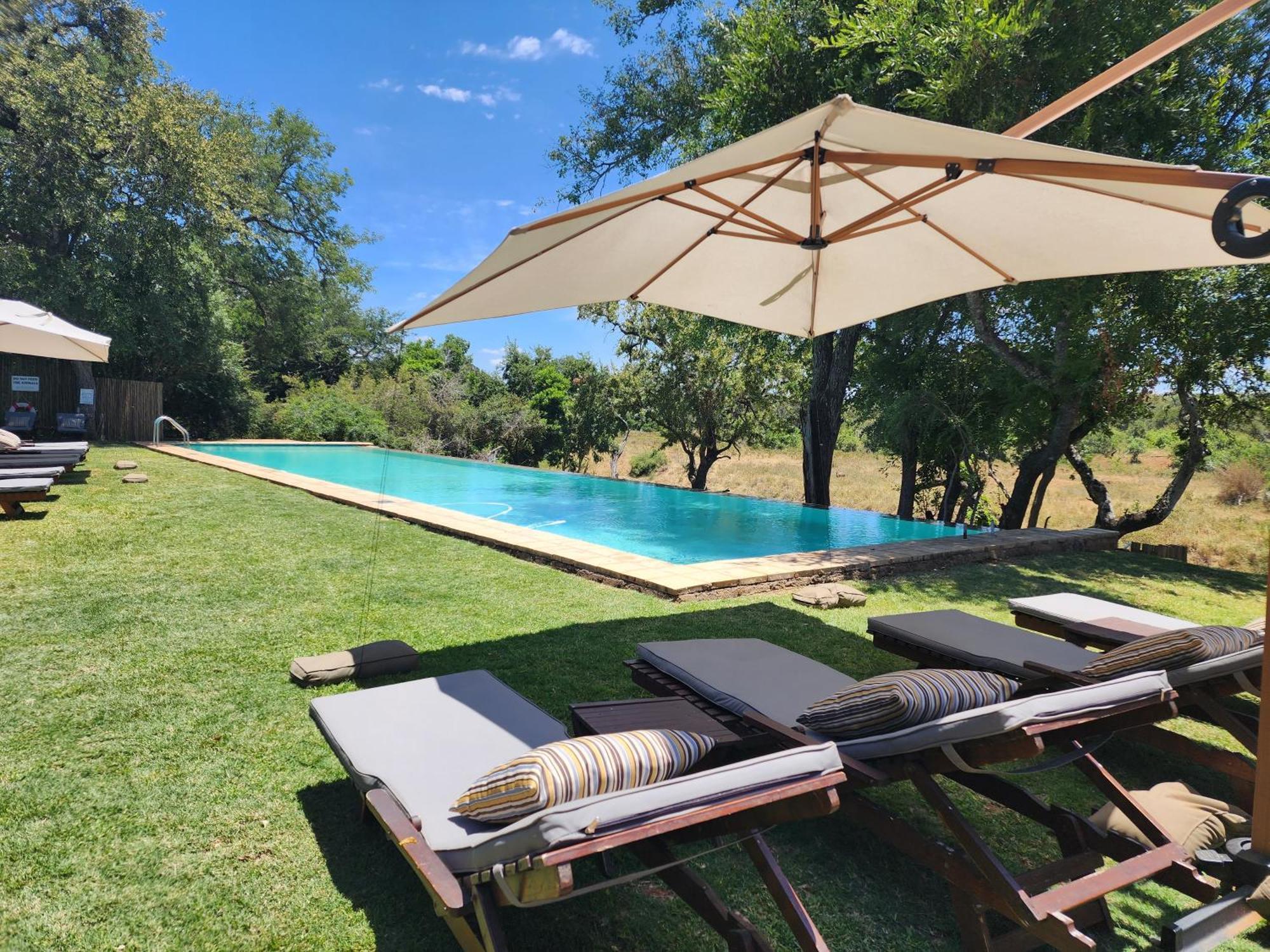 Karongwe Portfolio - Becks Safari Lodge Karongwe Game Reserve Bagian luar foto